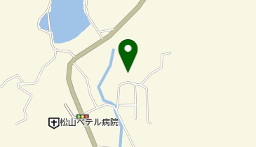 松山ベテル病院 道後ベテルホームの地図画像