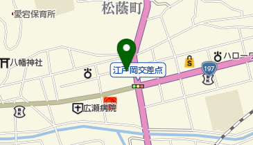 有限会社新地商店の地図画像