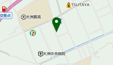 大田薬品の地図画像