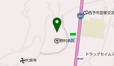 野村介護老人保健施設つくし苑の地図画像