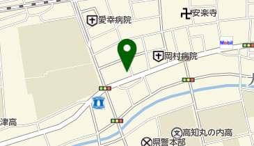 土佐火薬銃砲株式会社の地図画像