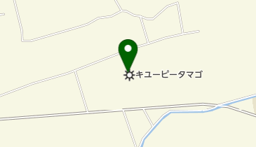 キユーピータマゴ株式会社笠岡工場の地図画像