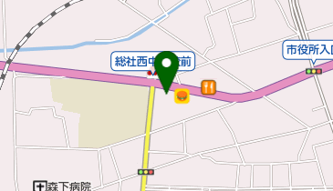 だて動物病院の地図画像