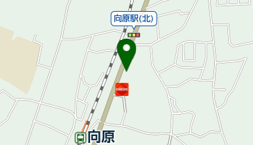 向原動物病院の地図画像