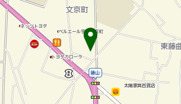 文京整骨院の地図画像