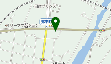 天山閣 プラス郷東店の地図画像