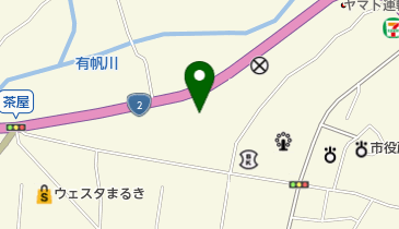 まつのカイロプラクティック院の地図画像