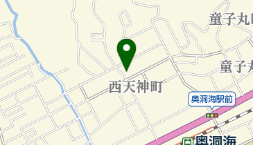 サロンド・フィルの地図画像