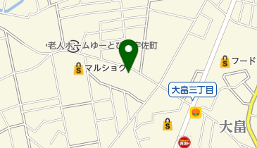 SDSカエル代行の地図画像