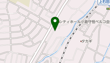 日英ブラインドの地図画像