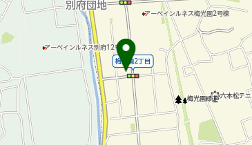 有限会社メガネのオガタの地図画像