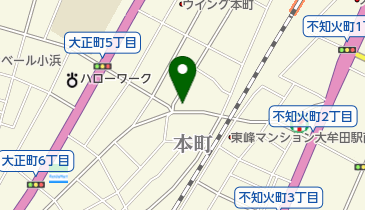 大牟田不動産の地図画像
