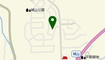 手島カイロプラクティック院の地図画像