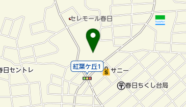 オートフラッグ春日の地図画像