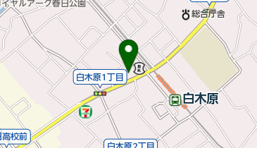猫の地図画像