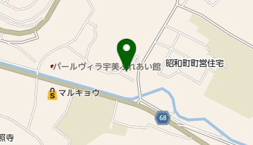 Dfpの地図画像