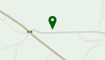 進犬猫医院の地図画像