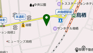 叶の地図画像