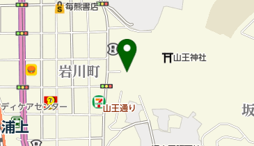 岩崎整骨院の地図画像
