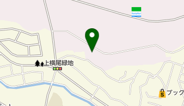 【半額！早い者勝ち】ゼンリン地図 長崎県東彼杵郡（Ｂ４）201605 半額！早い者勝ち】ゼンリン地図 長崎県東彼杵郡（B4）201605