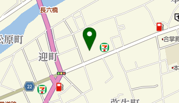 株式会社八尾日進堂の地図画像