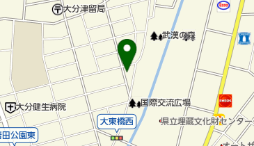 有限会社大分薬品の地図画像