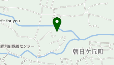 ヤングビーナス薬品工業株式会社大分営業所の地図画像