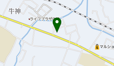 中津犬猫病院の地図画像