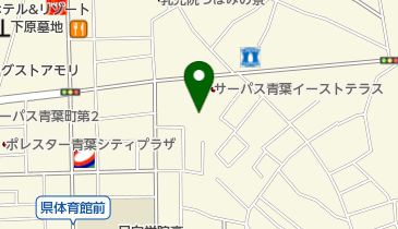 星空の都ひゅうが特別養護老人ホームの地図画像