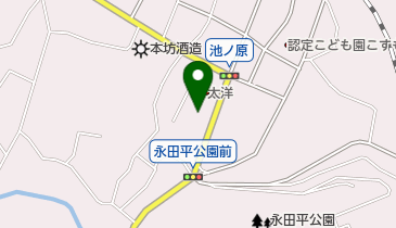 太洋薬局の地図画像