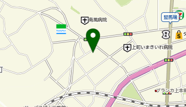 日本電通株式会社鹿児島営業所の地図画像