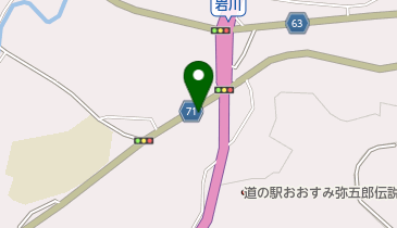 ヤングビーナス大隅の地図画像