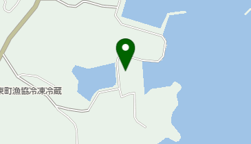 鹿児島大学水産学部附属海洋資源環境教育研究センター東町ステーションの地図画像