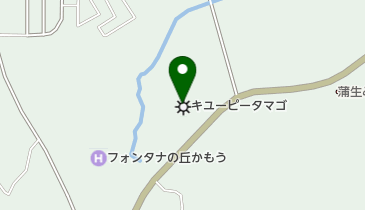 キユーピータマゴ株式会社蒲生工場の地図画像