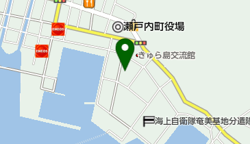 有限会社岩切自動車整備工場の地図画像