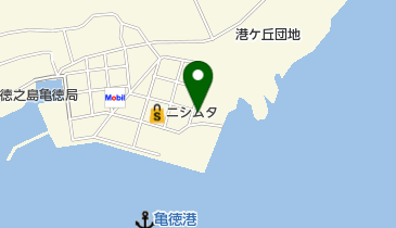 徳之島エルピーガス協同組合の地図画像