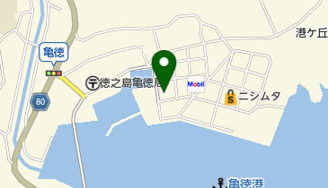 名城回漕運輸株式会社 本港貨物船現場の地図画像