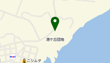 海王寺の地図画像