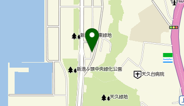 有限会社新垣水産の地図画像