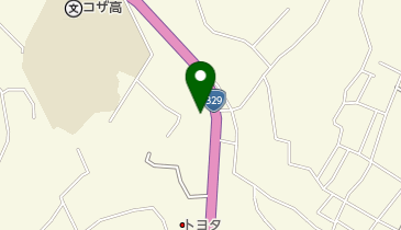 ワイルドシーサー格闘技ジムの地図画像