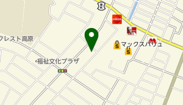 竜青果の地図画像