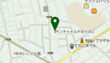 吉原東洋薬局の地図画像