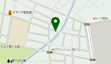 株式会社くまもと流通の地図画像