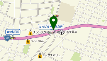 株式会社ツアーバンクシステム石垣支店の地図画像