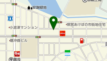 大実商会宮古パパイヤ生産組合の地図画像