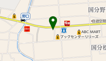 鹿児島餃子の王将国分店の地図画像