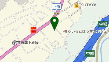 沖縄県宜野湾市の動物病院 獣医師一覧 Navitime