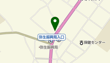 シャディサラダ館弥生店の地図画像