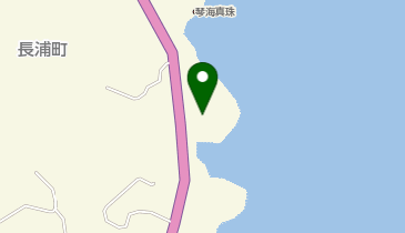 長崎真珠店の地図画像