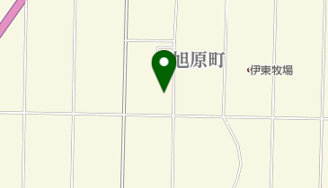 極真空手東部道場の地図画像